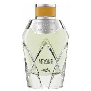 Sauvage Vetiver - Eau de Parfum Sauvage Vetiver - Eau de Parfum